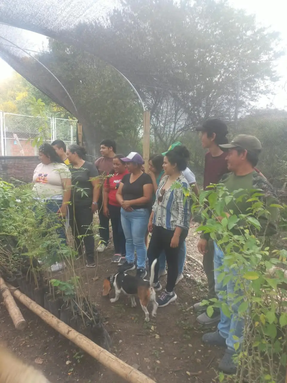 Integrantes de la comunidad recorren las hileras de plántulas bajo la malla de sombra del vivero.